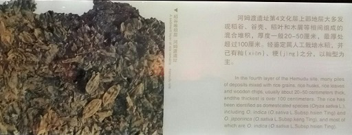 图片(piàn)4.png XPJ